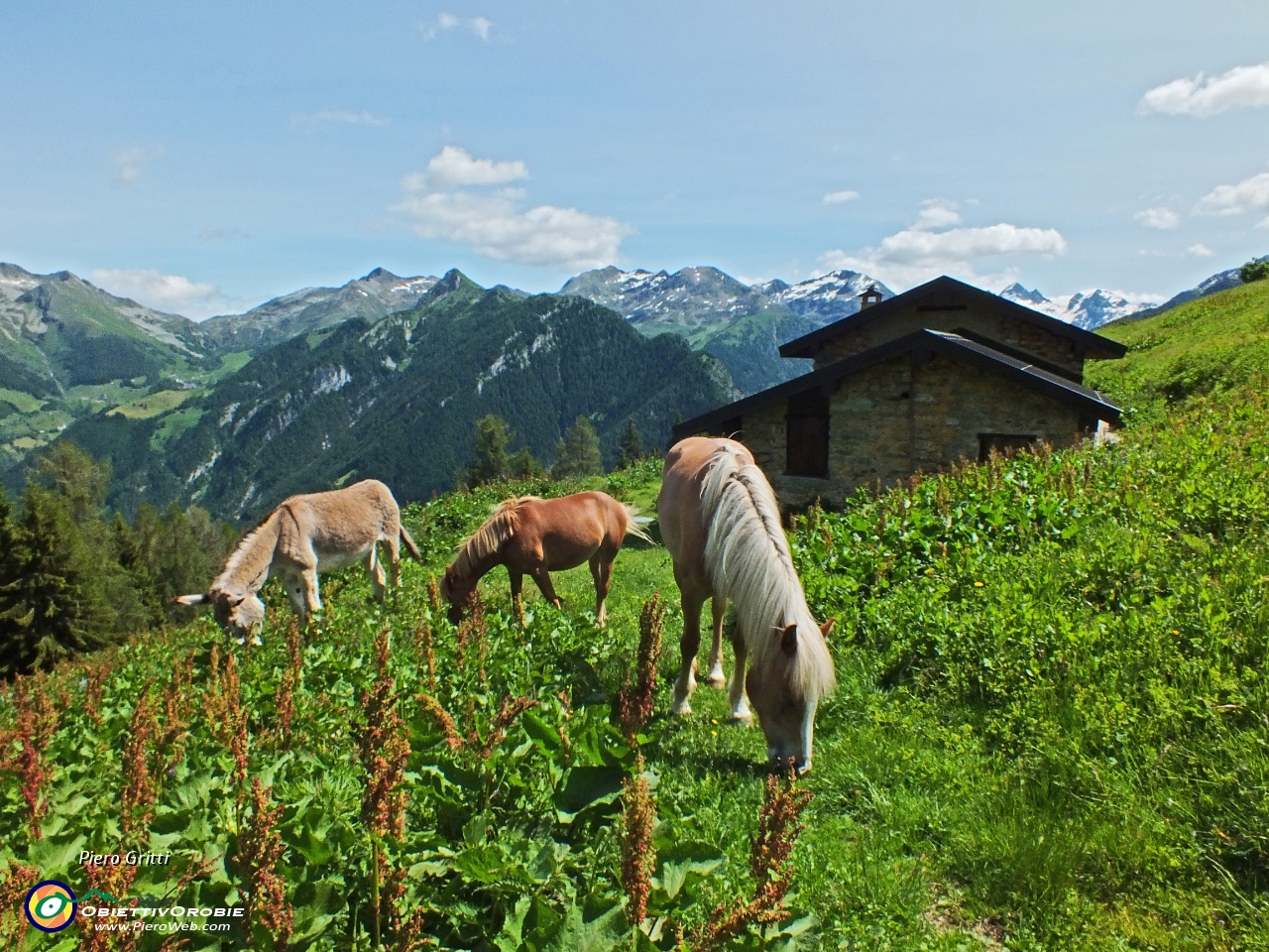 36 Baita Croce Monte Colle (1730 m.)....JPG